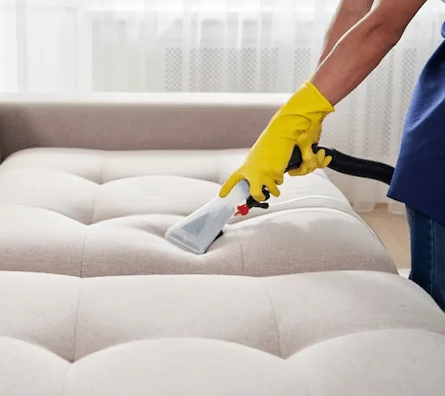 Furniture Cleaning